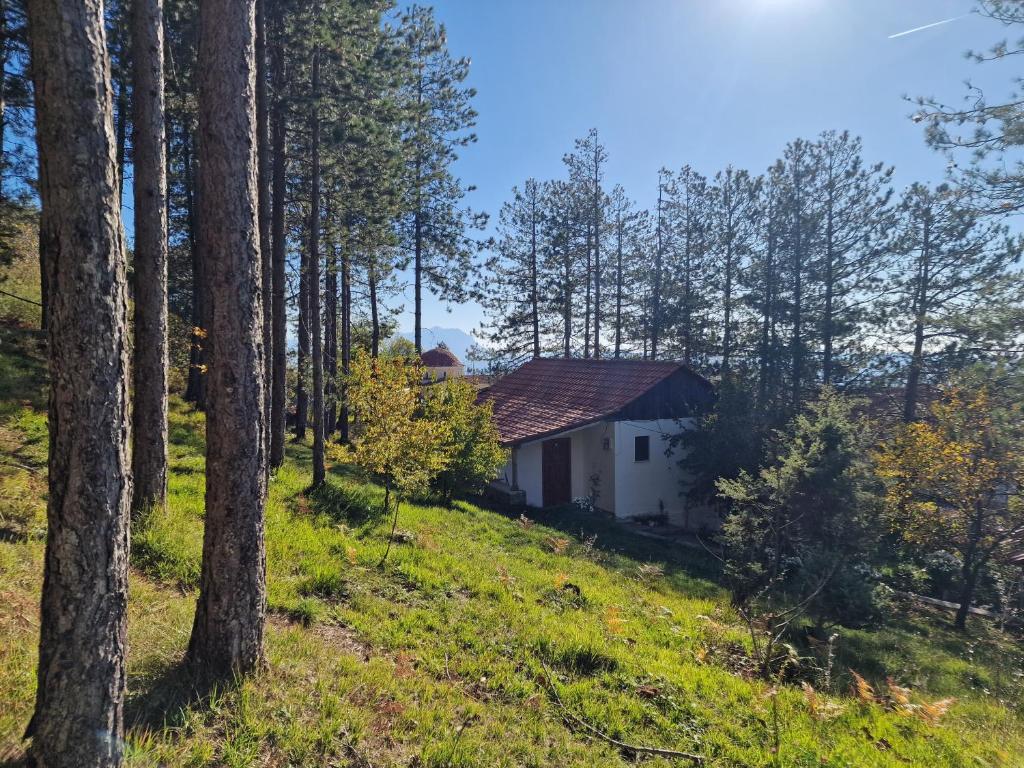 Příroda nedaleko hostelu