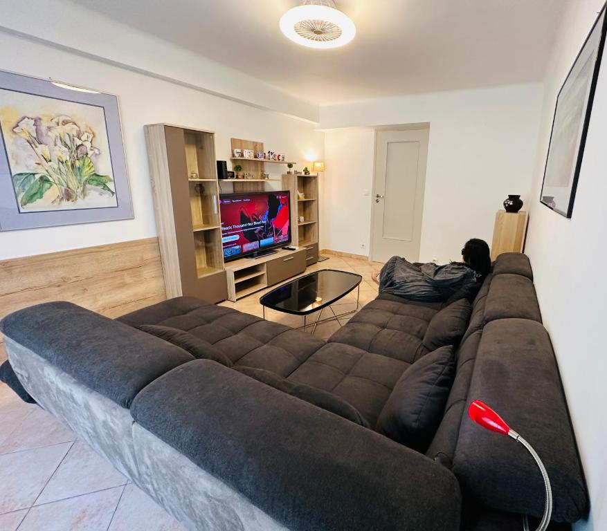a living room with a large couch and a television at The NICE rose - 3 rooms, 3 air cond, 3 TV, 3 fans, WIfi everywhere, Netflix, balcony for smokers, everything is new in Nice