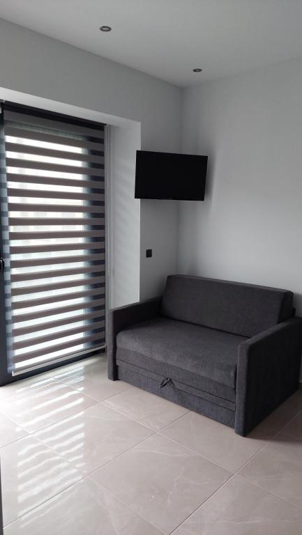 a living room with a couch and a television at Luana Monte Apartments in Amoudara Herakliou