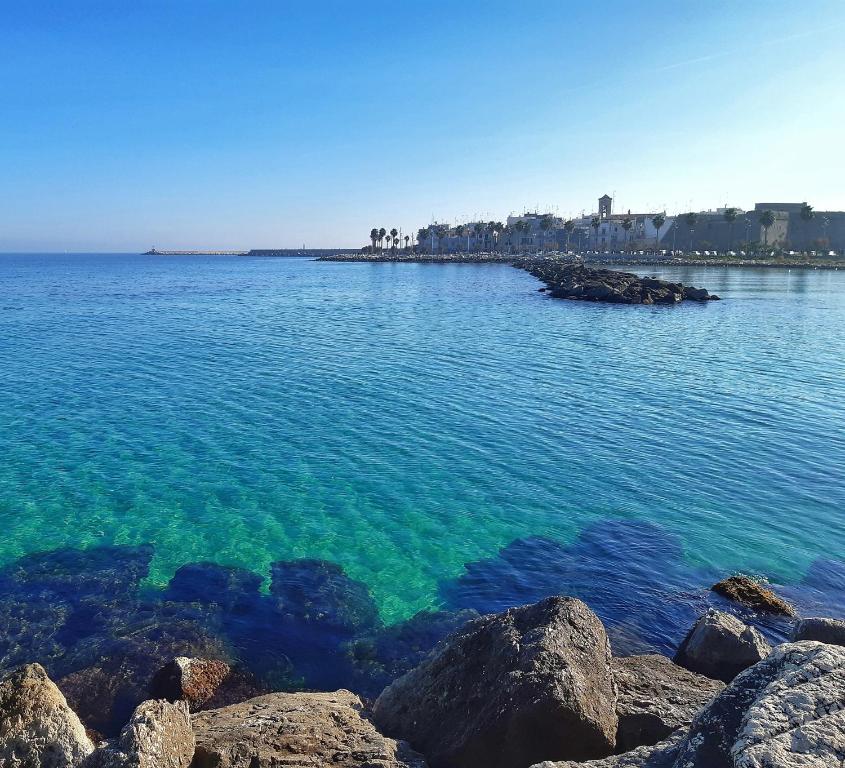 una gran masa de agua con rocas en el primer plano en La stradina, en Mola di Bari
