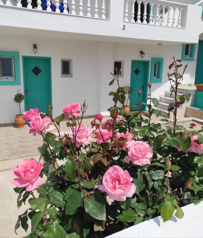 Arocaria - Faliraki peaceful apartments - 19