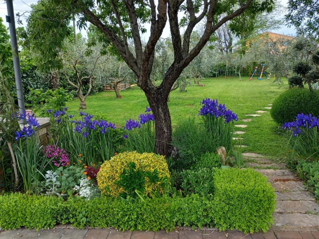 a garden with flowers and a tree in a field at Apartment Gavrić in Loborika