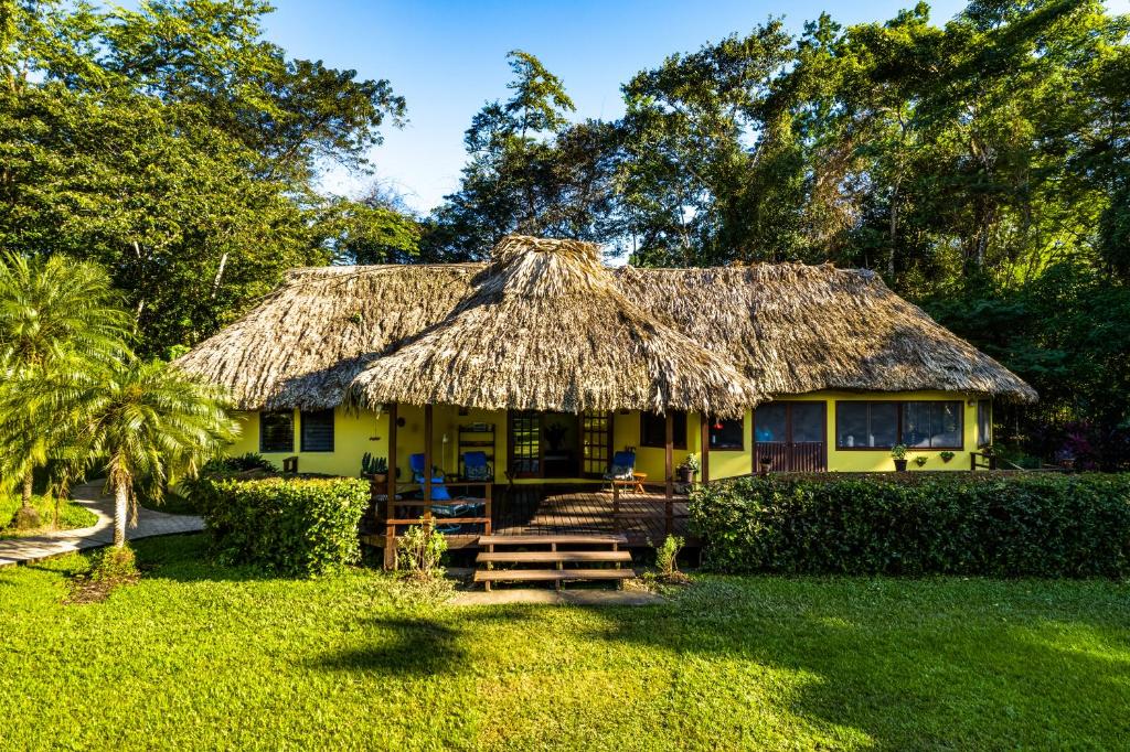 een klein geel huis met een rieten dak bij Tanager RainForest Lodge in Big Falls