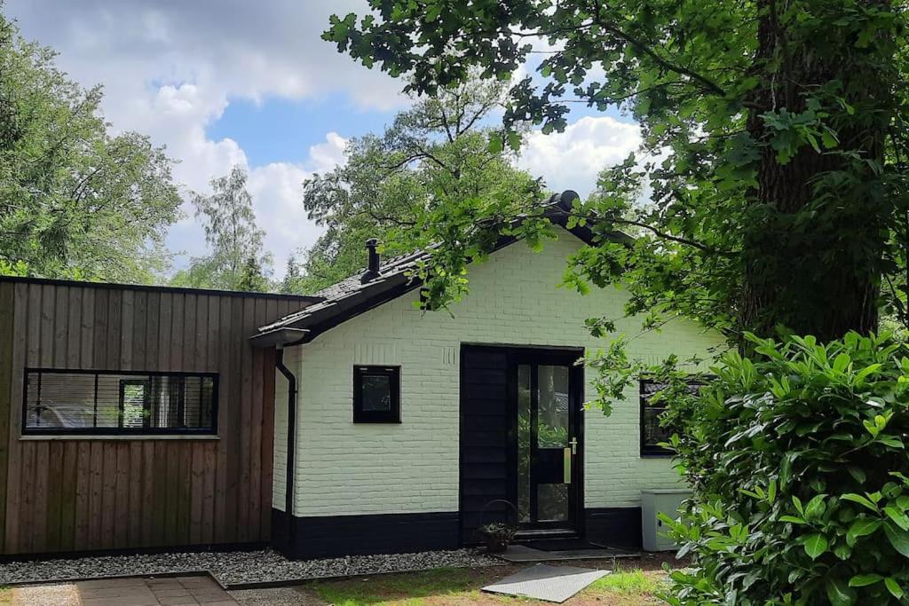 a green house with a black door and a fence at 4-6 persoons vakantiewoning met eigen tuin in Bakkeveen