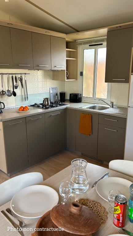 Kuchyňa alebo kuchynka v ubytovaní Les mobil homes de NOLY, 1 Place adulte Réserve Africaine de Sigean gratuite