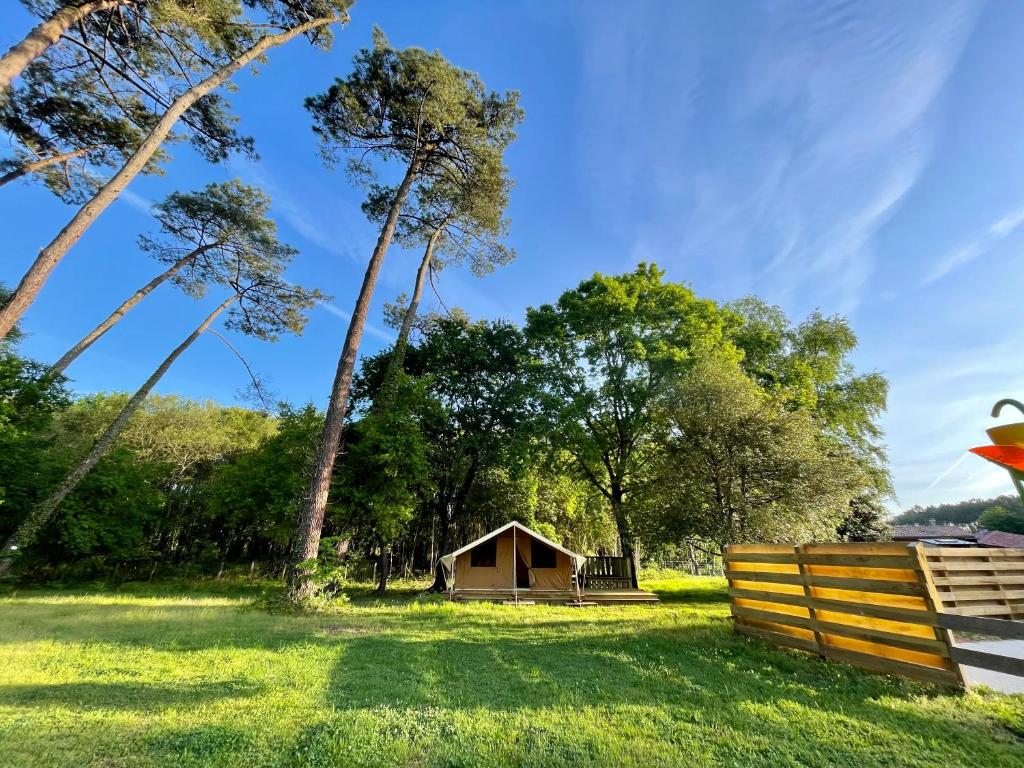 una pequeña cabaña en medio de un campo con árboles en Tente Lodge Bouleau - La Téouleyre en Saint-Julien-en-Born
