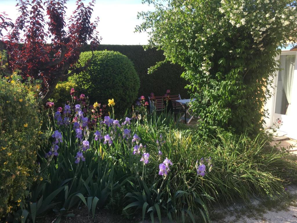 un jardin orné d'iris violets et d'autres fleurs dans l'établissement Le Nid au Pied du Mont Ventoux, à Malaucène