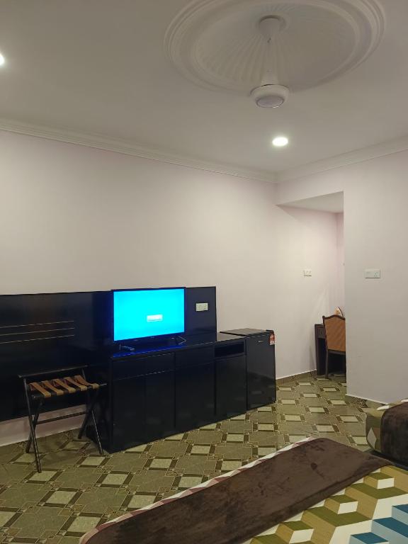 TV a/nebo společenská místnost v ubytování Alfa Roomstay