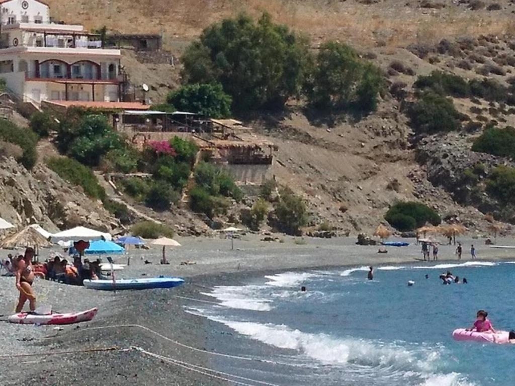een groep mensen op een strand met water bij Villa Koutsakis in Kali Limenes