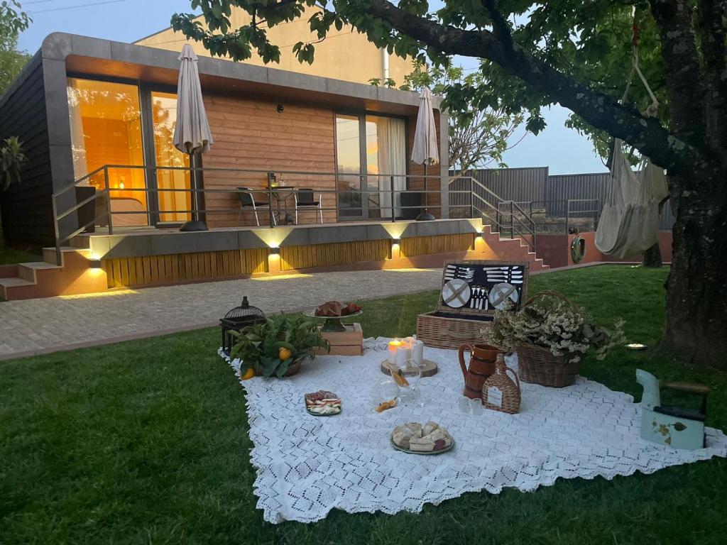 a backyard with a picnic table in the grass at MOM - Mateus On Modular in Vila Real