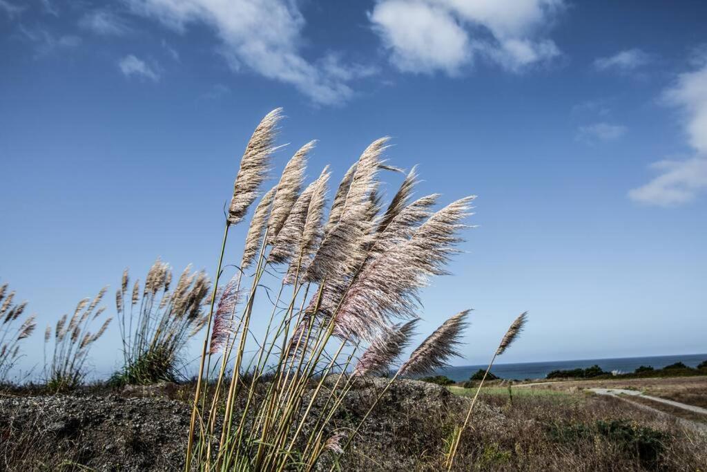 Příroda nedaleko prázdninového domu