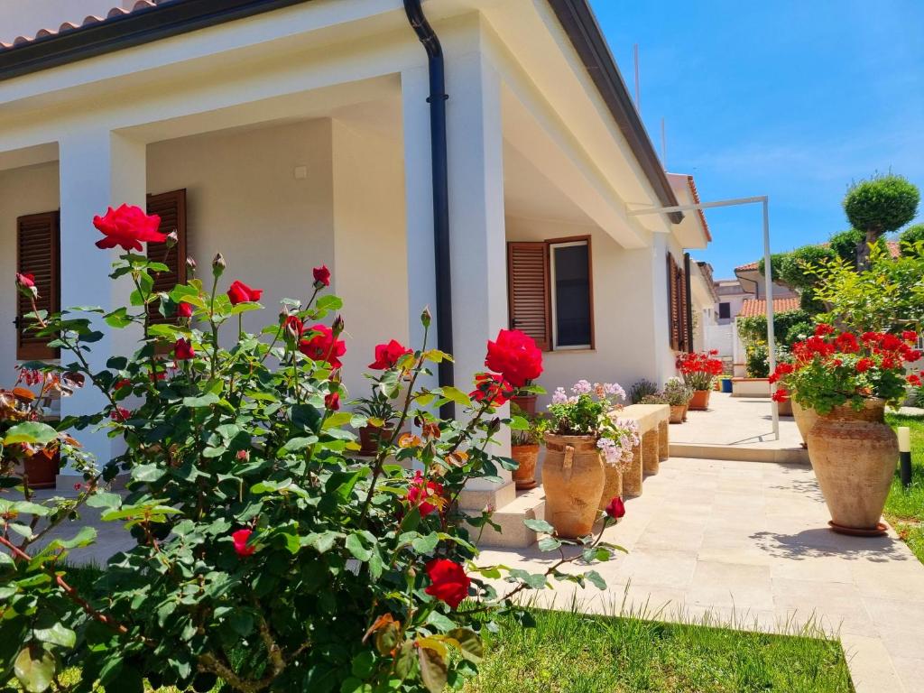 Zahrada ubytování Kleade B&B