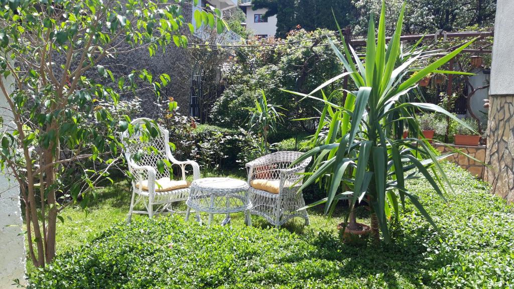 Zahrada ubytování Modern&Cozy Bosnian house with GARDEN+FREE parking