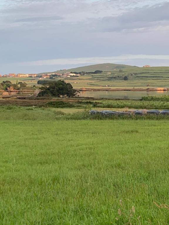 Príroda v okolí vily