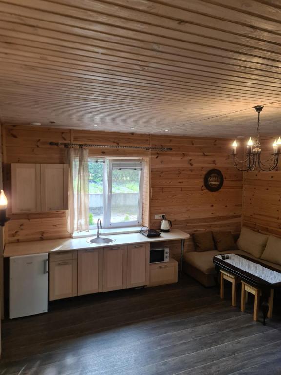 eine Küche mit einem Waschbecken und einem Sofa in einem Zimmer in der Unterkunft Котедж бiля рiчки село Кудашiвка in Kudashevka
