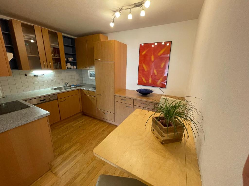 Kuchyň nebo kuchyňský kout v ubytování Ferienwohnung Maxi
