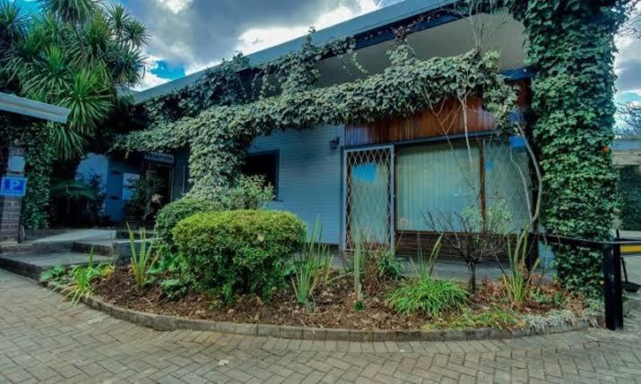 a blue house with ivy growing on the side of it at Zakumi Guesthouse in Kokstad
