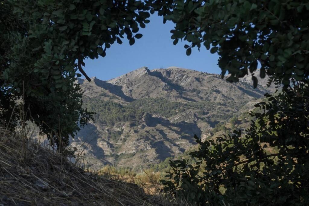 Fotografia z galérie ubytovania Mountain retreat Casa Alzaytun. v destinácii Canillas de Aceituno