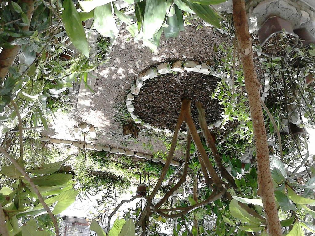 Giardino di Oaza Guest House