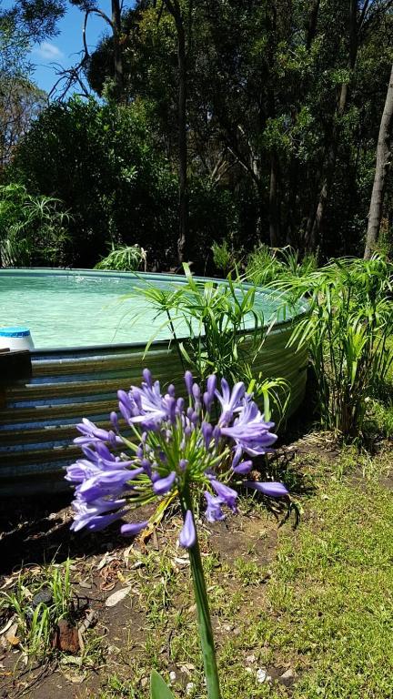 CABAÑAS HUENTECO Chandra