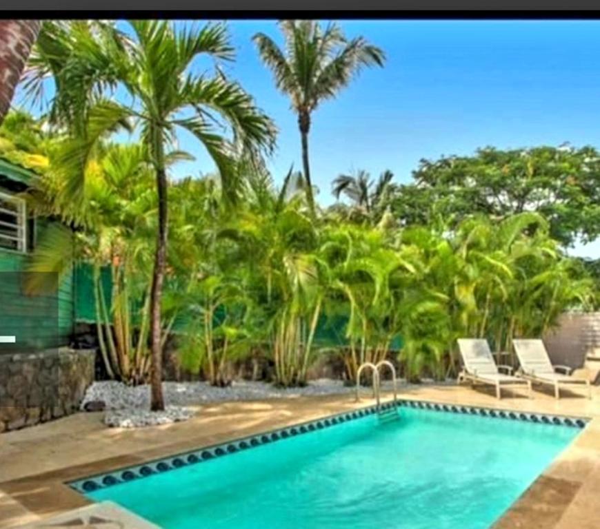 una piscina en un patio con palmeras en Mahi-Mahi Lodge, piscine privee, orient bay en Orient Bay French St Martin