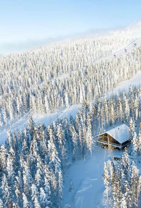 Levi Ski IN Ski OUT Premium VillaWestWind B зимой