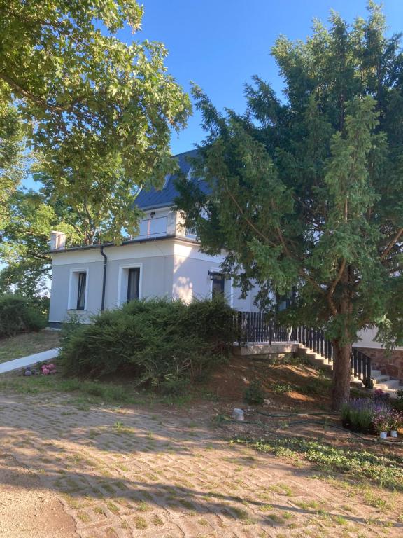 une maison blanche avec une clôture et des arbres dans l'établissement Villa Philip Noir, à Révfülöp