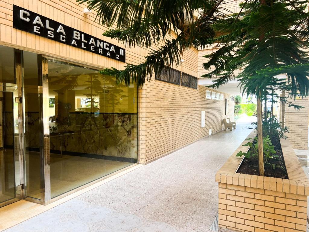 Azul Infinito Mediterráneo, Oropesa del Mar – Precios ...