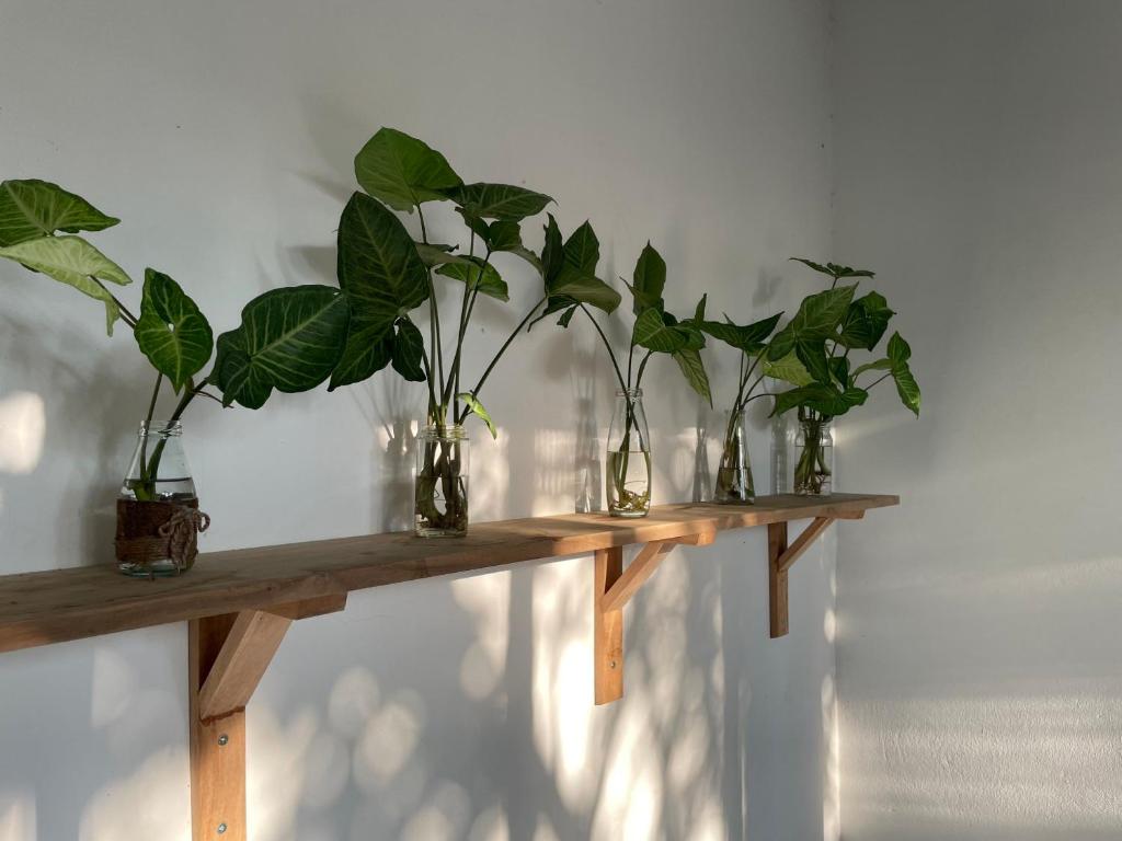 Elephant's House - Đường Lâm Homestay