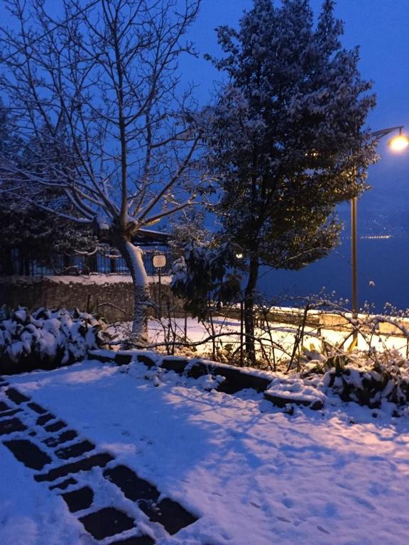 Appartamento Terrazza sul Porto v zimě