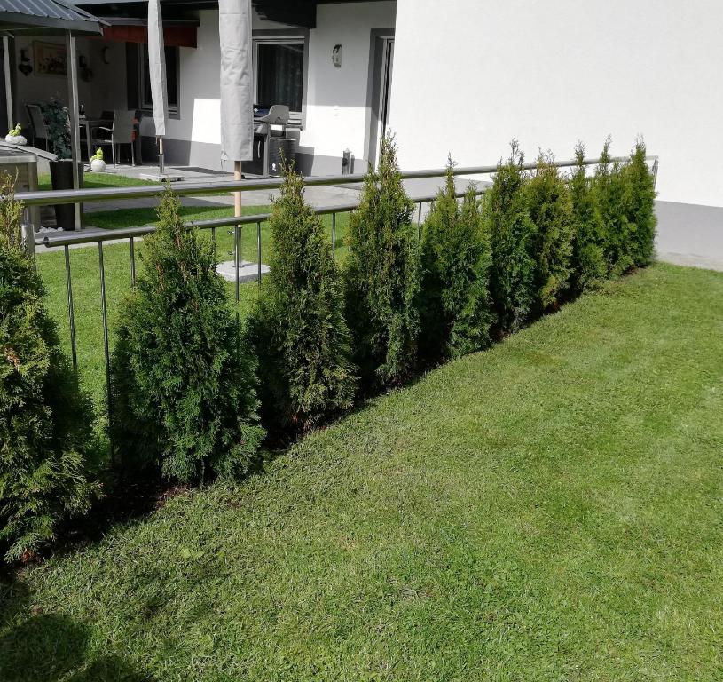 Zahrada ubytování Ferienwohnung am Waldweg