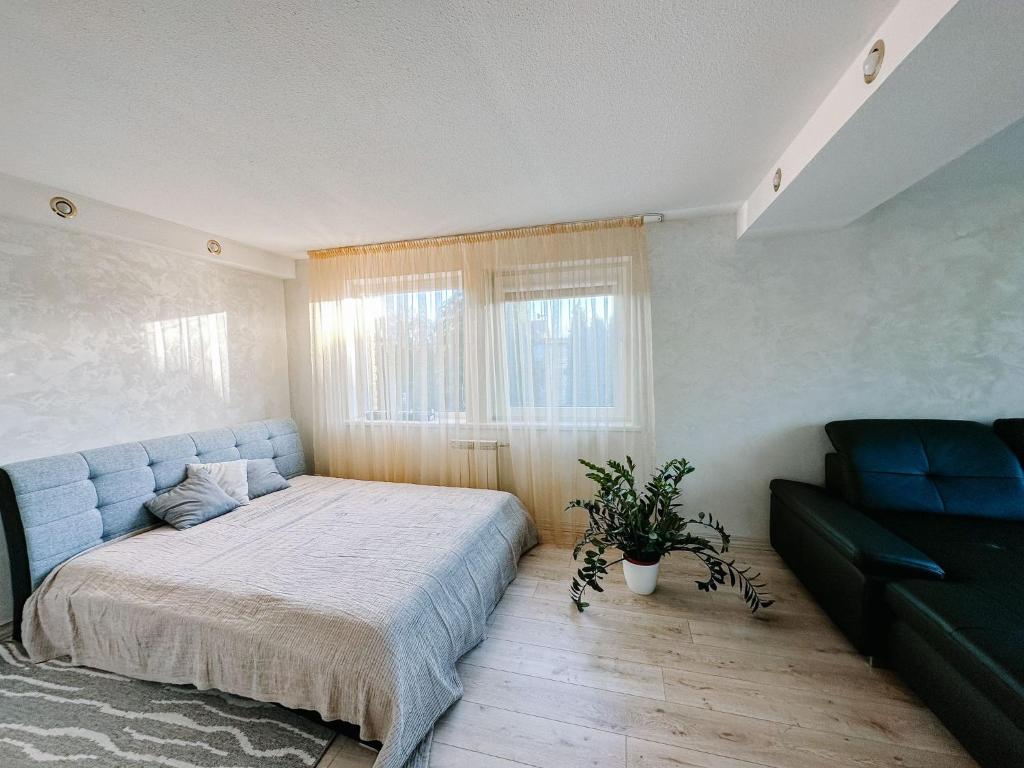 Un pat sau paturi într-o cameră la 100SaulesVikingi