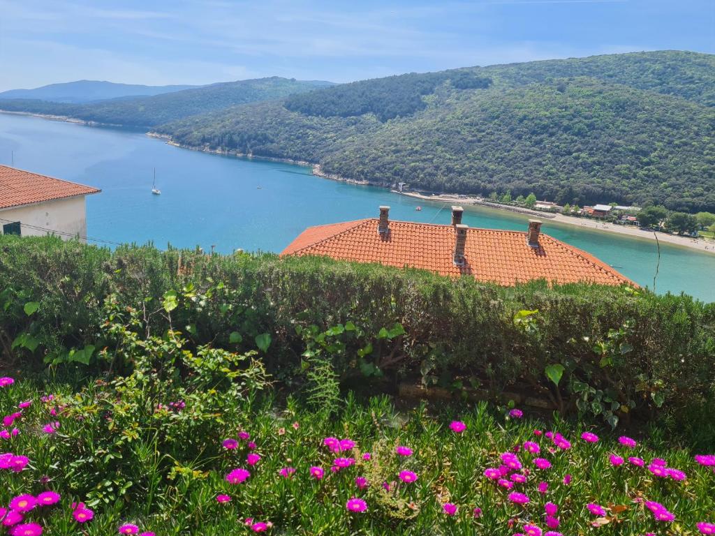 a view of a body of water with pink flowers at Porto Albona in Rabac