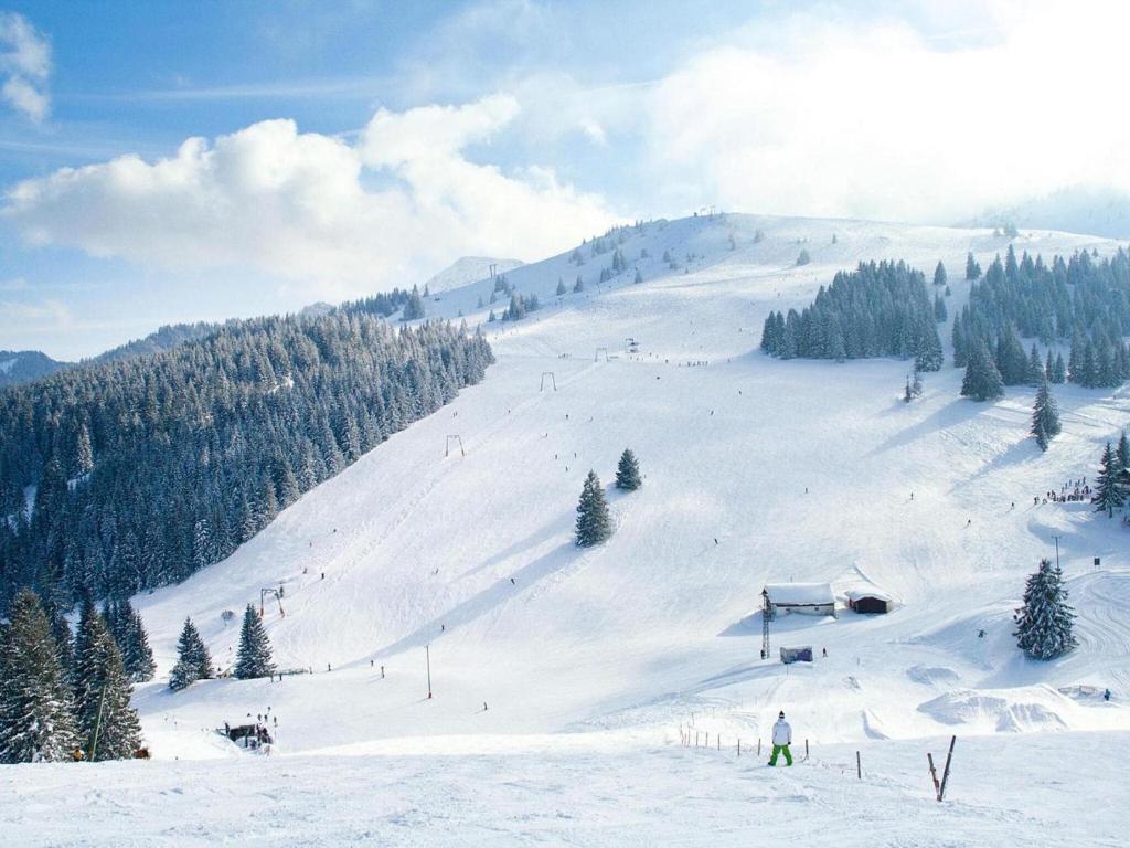 Alpine Escape & Wellness Stay v zimě
