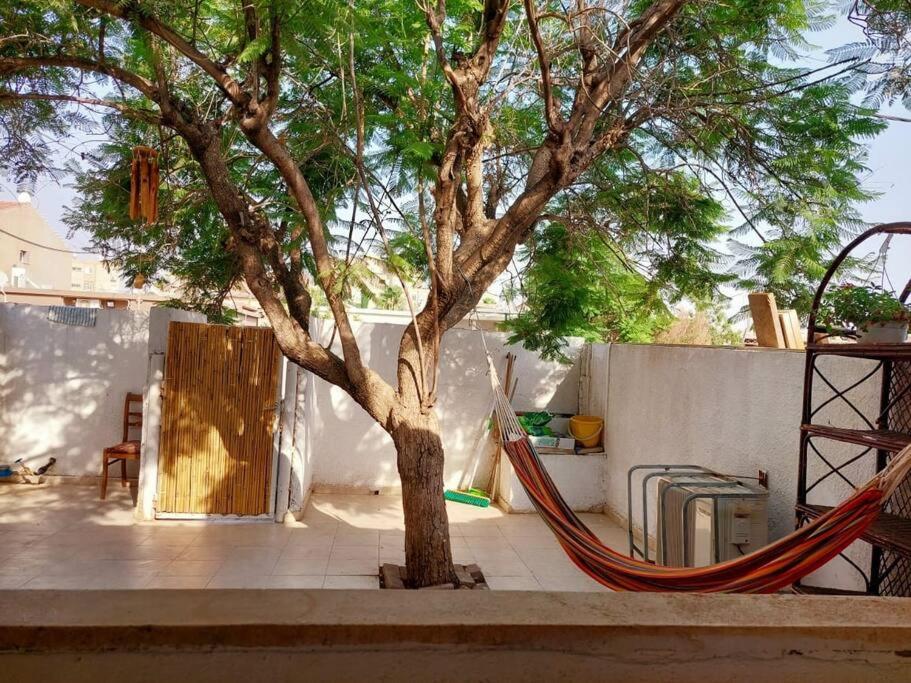 un arbre avec un hamac à côté d'une clôture dans l'établissement דירת גן בהורקנוס, à Beer-Sheva