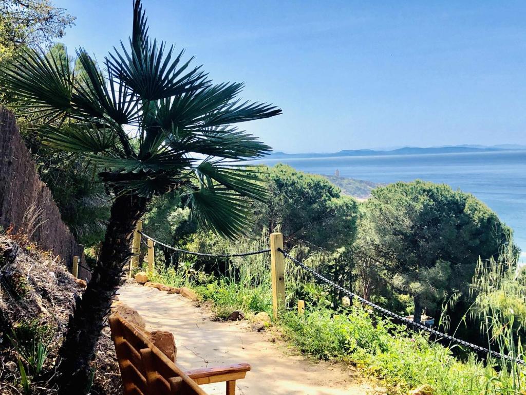 a bench sitting on a hill next to a palm tree at Villa El Buzo in Zahara de los Atunes