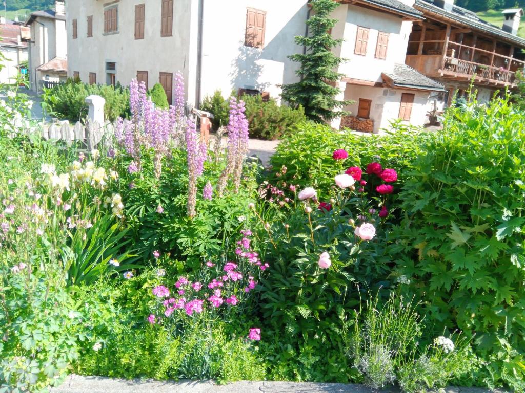 Zahrada ubytování Da Carla Dolomiti Val di Zoldo