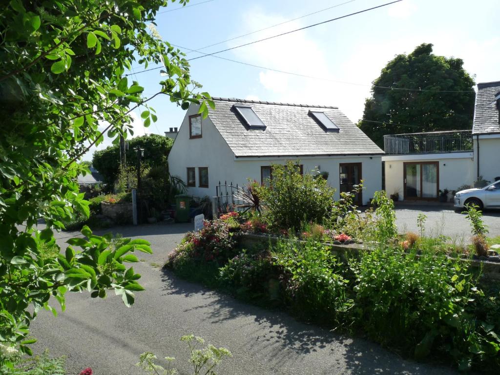 a white house with a lot of flowers at Gwyndaf Holiday Cottage in Llangoed