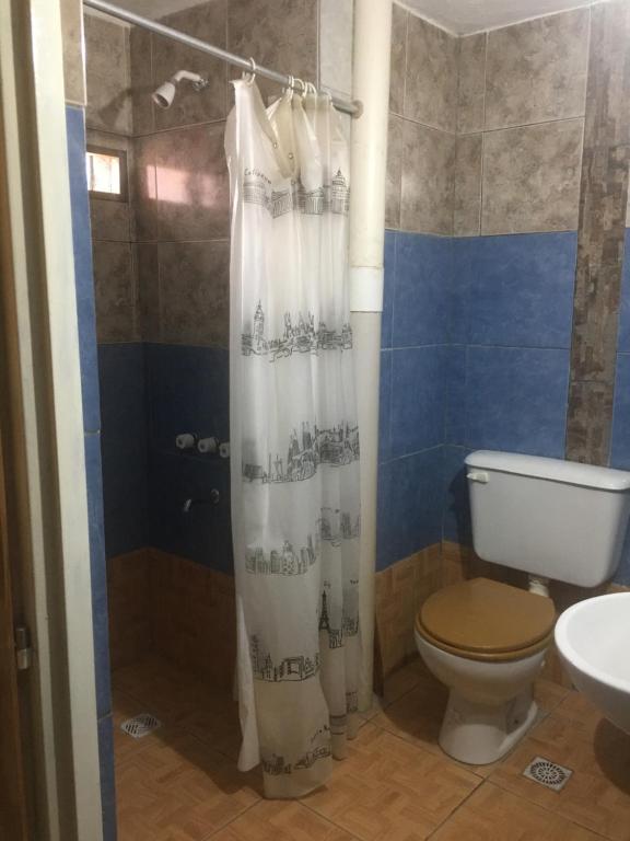 y baño con aseo y cortina de ducha. en El Parralito hospedaje en Ciudad Lujan de Cuyo