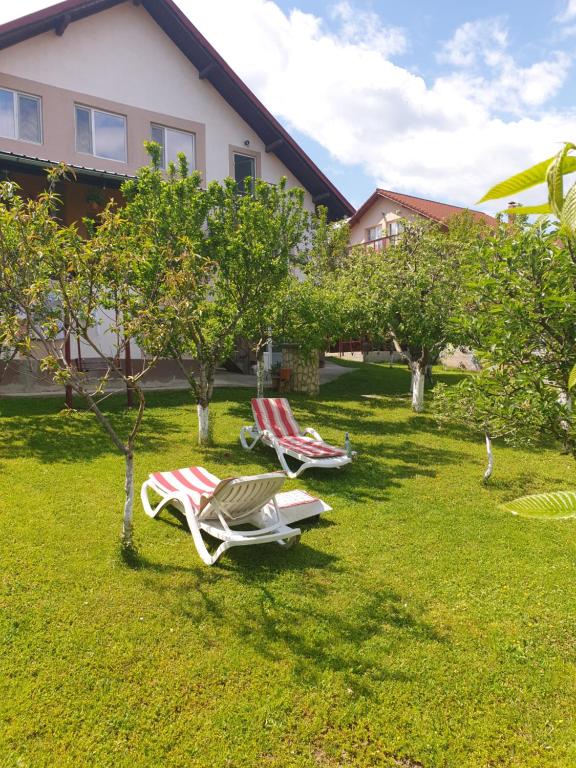 two lawn chairs sitting in the grass in front of a house at Casa Mihai și Clara in Călimăneşti