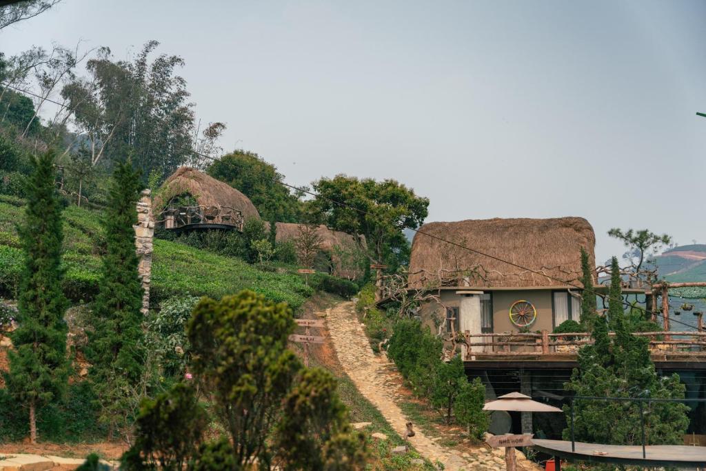 a house with thatched roofs on top of a hill at Hippie Home Mộc Châu in Mộc Châu