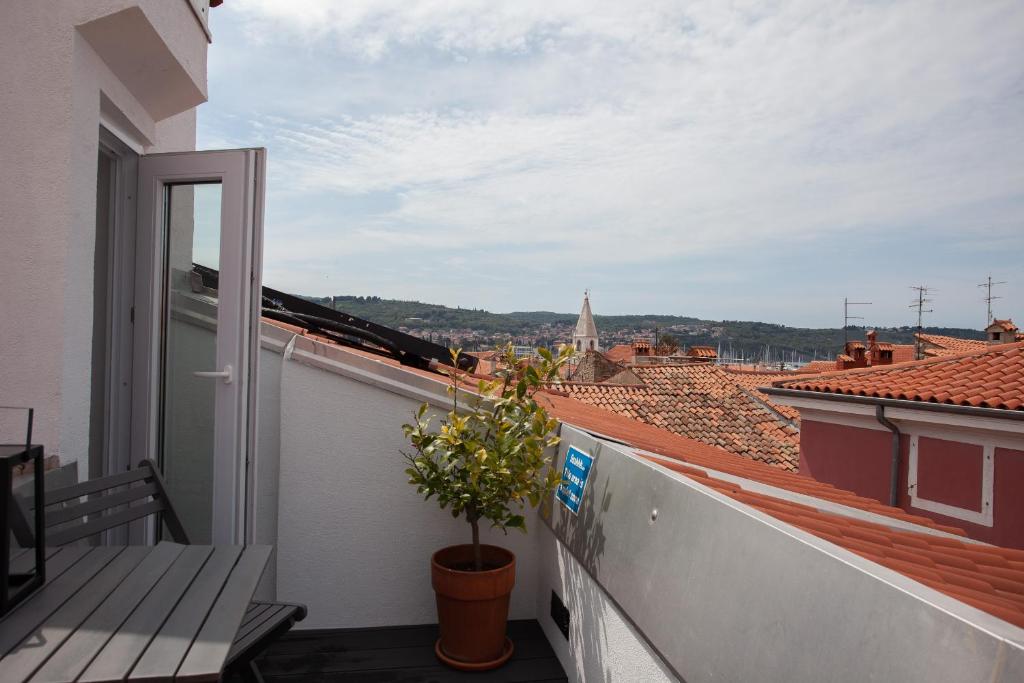 Příroda nedaleko apartmánu