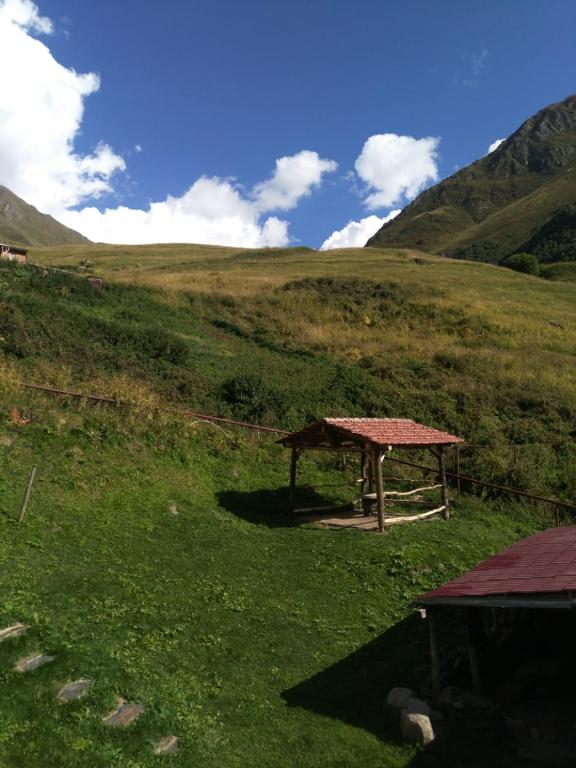 a picnic table in the middle of a grassy hill at B & B Juta in Kazbegi