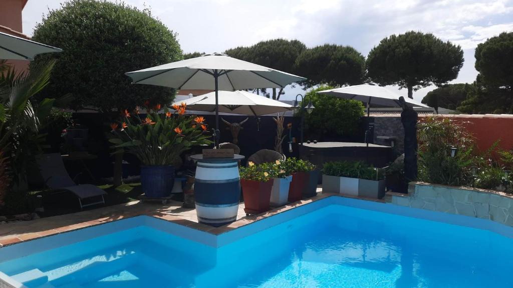 Una piscina azul con una sombrilla y algunas plantas. en Location Chambre d'hôtes Grau du Roi Mas des Marines Piscine Adult only, en Le Grau-du-Roi