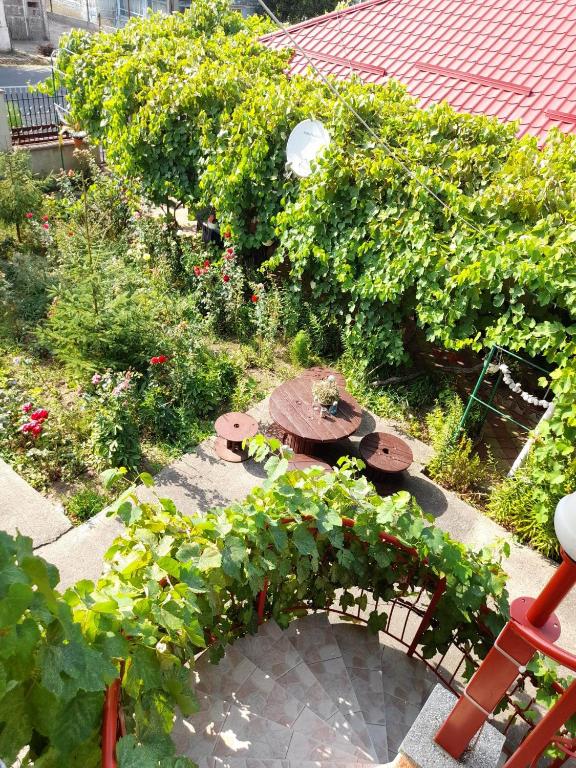 Casa Daria في 2 ماي: حديقة بها طاولة وبعض النباتات والورود