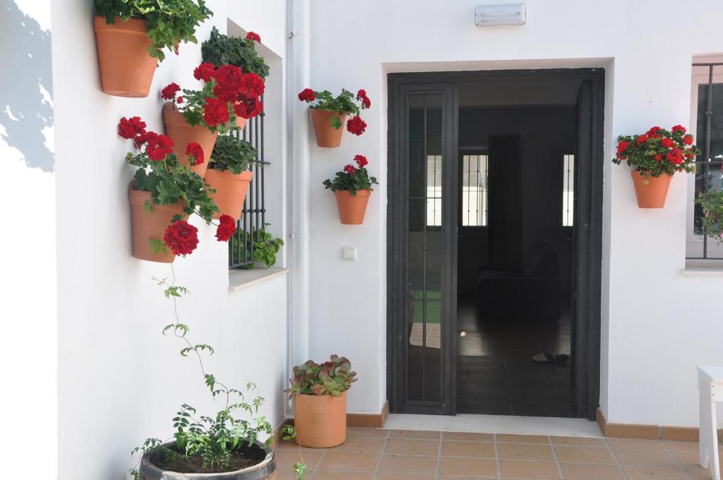 Fotografie z fotogalerie ubytování Tarifa Kite Hostel v destinaci Tarifa