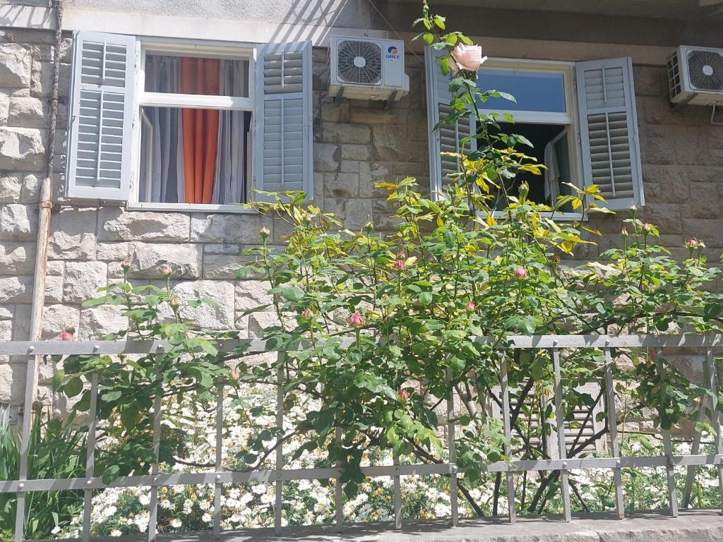 Zahrada ubytování Central Jardin Guest House Split