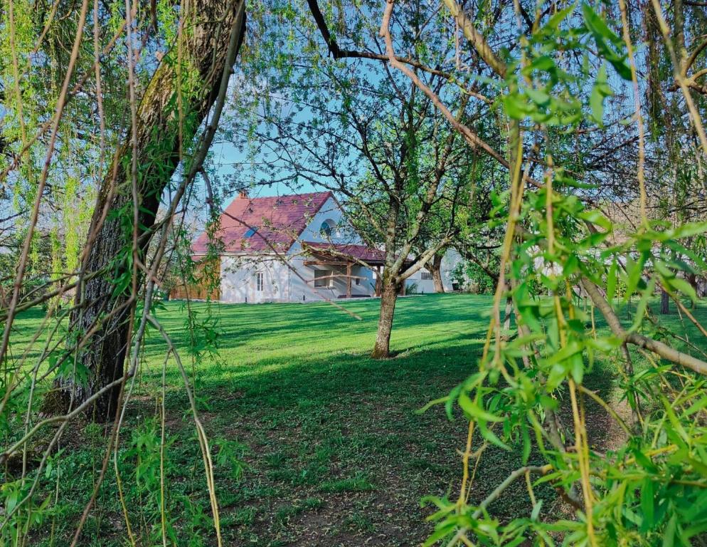 a house in the middle of a yard with trees at Domaine Saint Loup - Gîte "Le Petit Loup" - 6 pers- 10min BEAUNE in Saint-Loup-Géanges