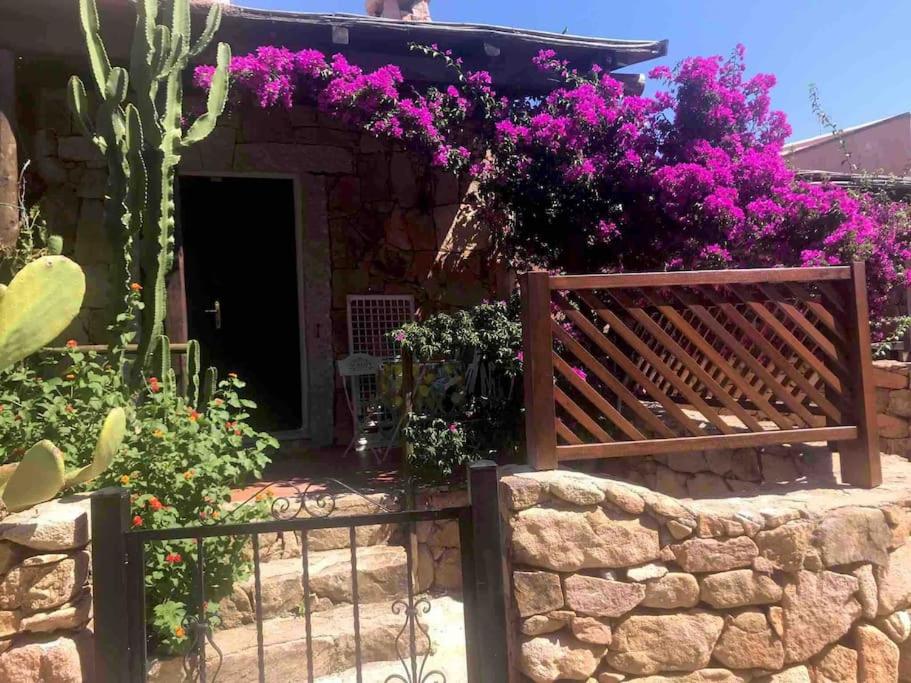 une clôture devant une maison ornée de fleurs violettes dans l'établissement Buganvillea Cottage: un nido a 200 mt. dal mare, à Porto Pollo