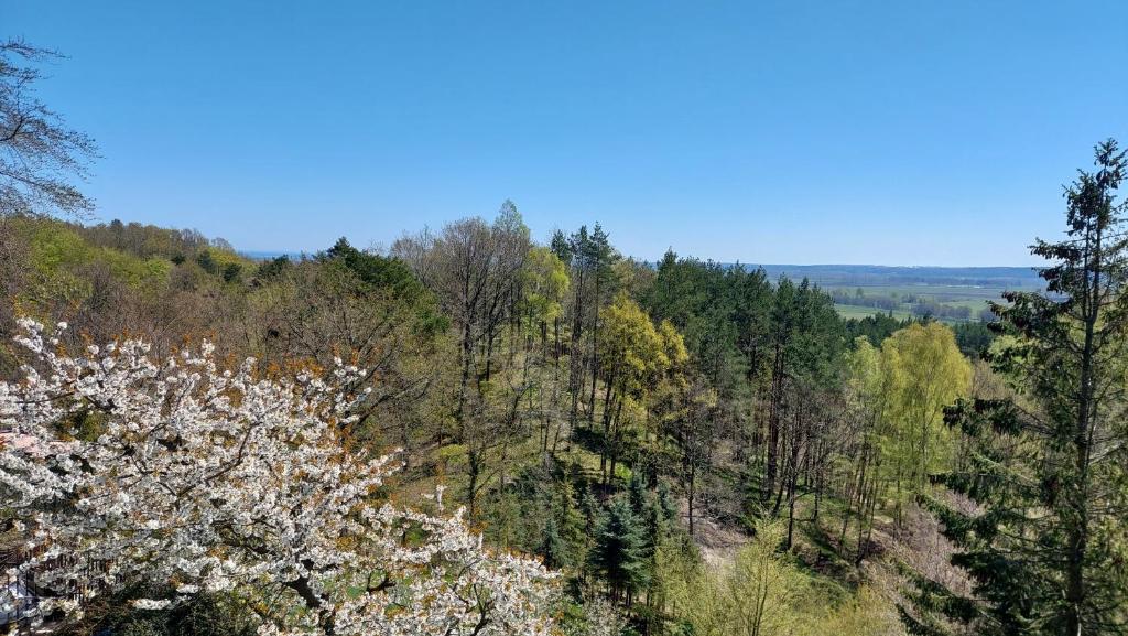 Příroda nedaleko venkovského domu